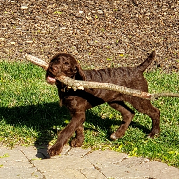 Meet your Posher, Crystal - Picture 11 of 15